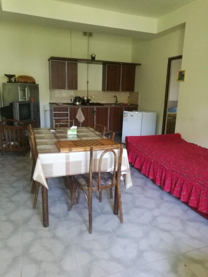 Artyomi Toon Apartman Dilisan Kültér fotó