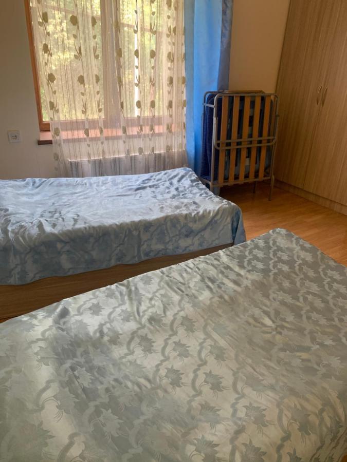 Artyomi Toon Apartman Dilisan Kültér fotó